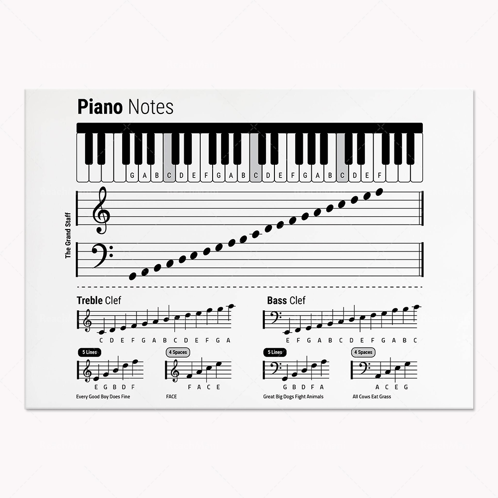 Guitar theory, piano, audio sp - Audio Into Music Sheet avaliação e preço